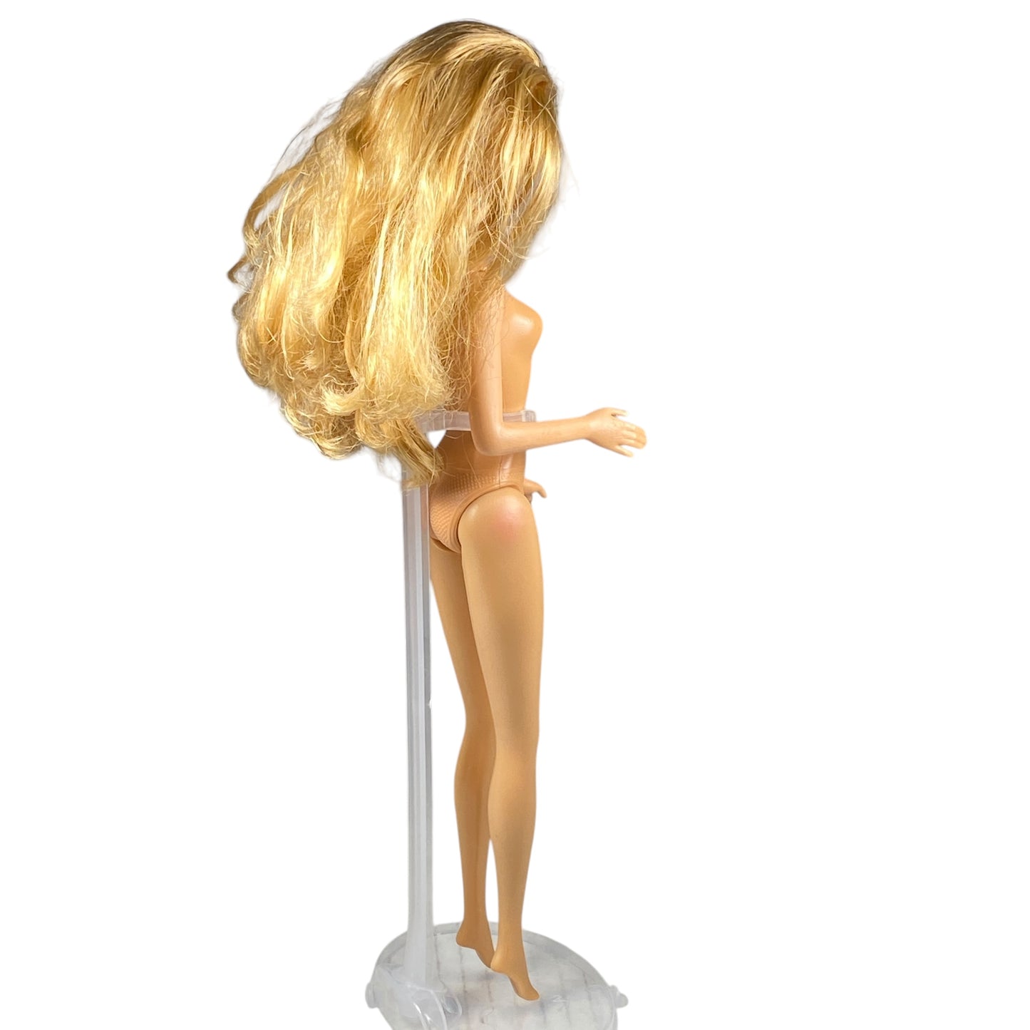 2006 The Barbie Diaries Barbie #H7588