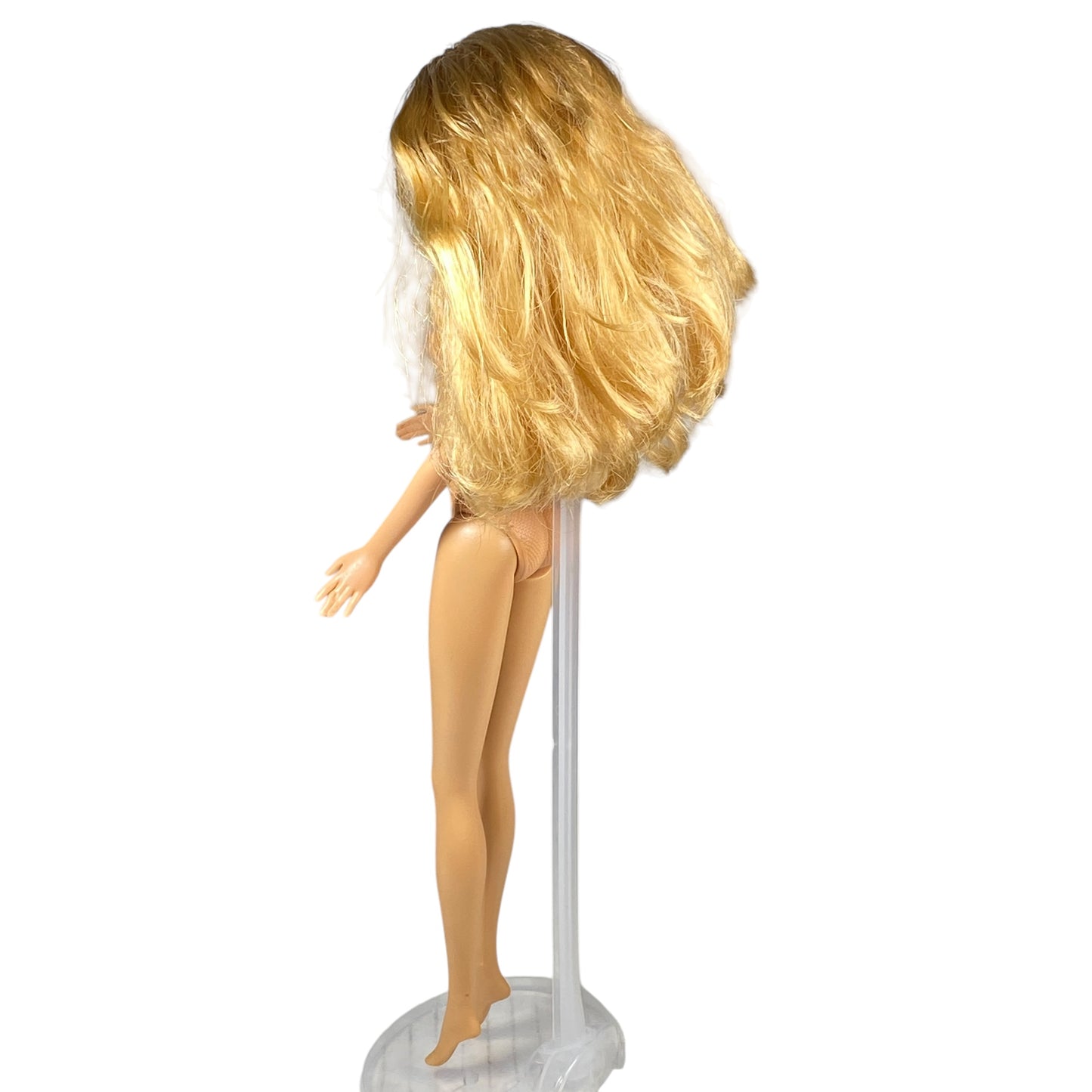 2006 The Barbie Diaries Barbie #H7588