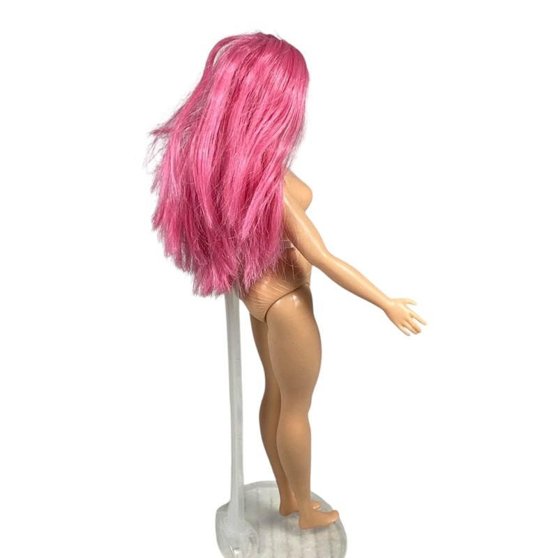 2019 Dreamhouse Adventures Travel Daisy Barbie #FWV26