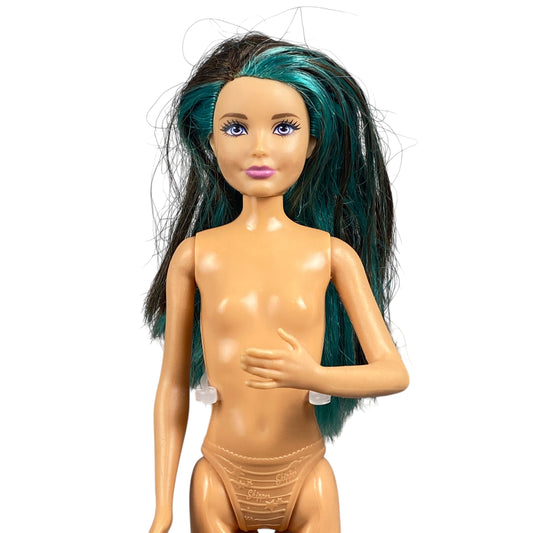 2015 Puppy Chase Series Skipper Barbie #DMB27