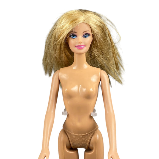 2015 Life in the Dreamhouse Snow Fun Barbie #BJN57