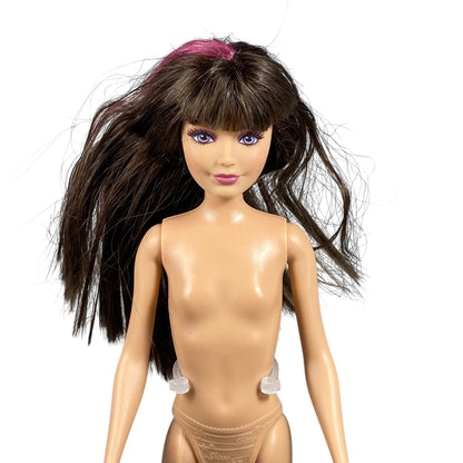 2013 Sisters' Horse Adventure Skipper Barbie #BCG05
