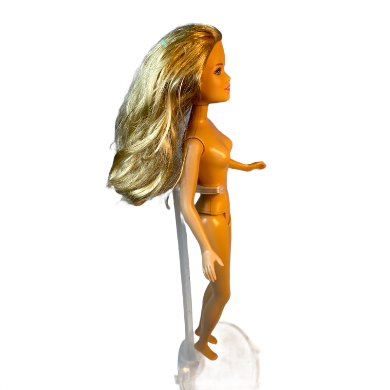 2010 I Can Be a Bride Skipper Barbie #T3841