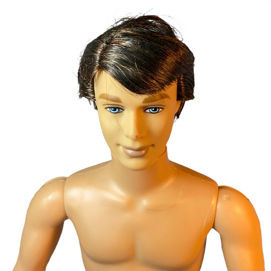 2006 The 12 Dancing Princesses Prince Derek Barbie #J8891