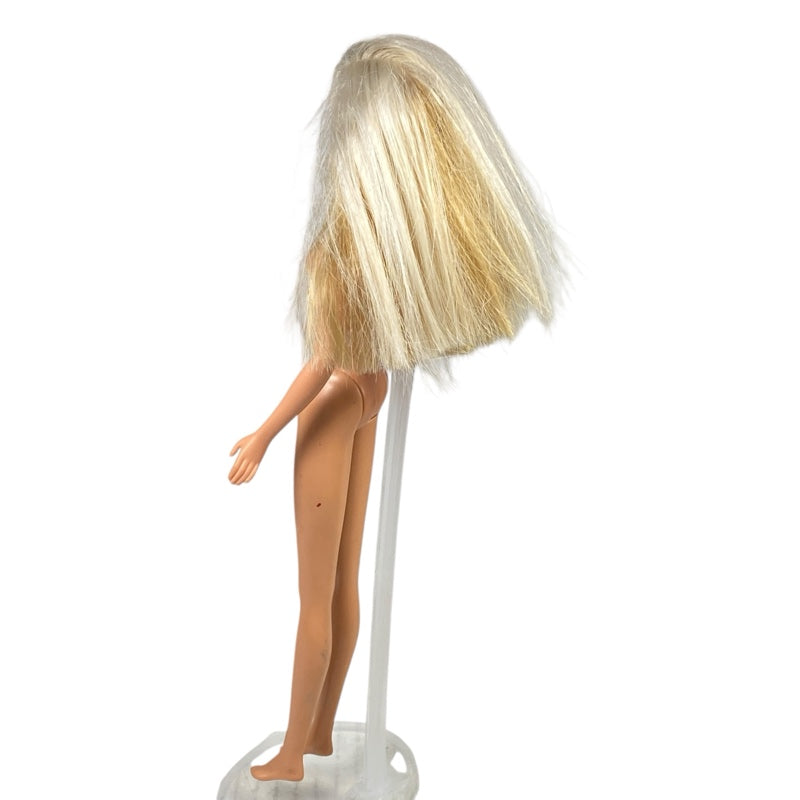 1999 Totally YoYo Fun Skipper Barbie #22228
