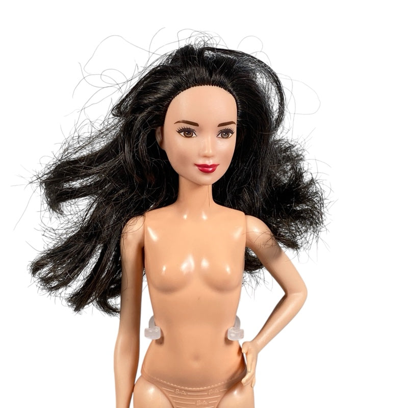 2016 Barbie Fashionistas #DYY91