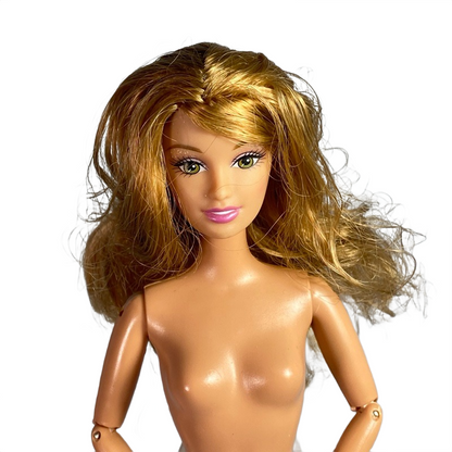 2006 The 12 Dancing Princesses Fallon Barbie #J8905